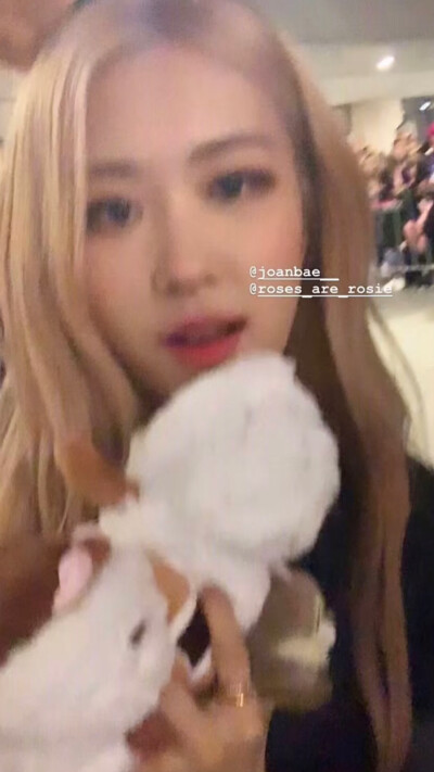 rosé朴彩英 blackpink
