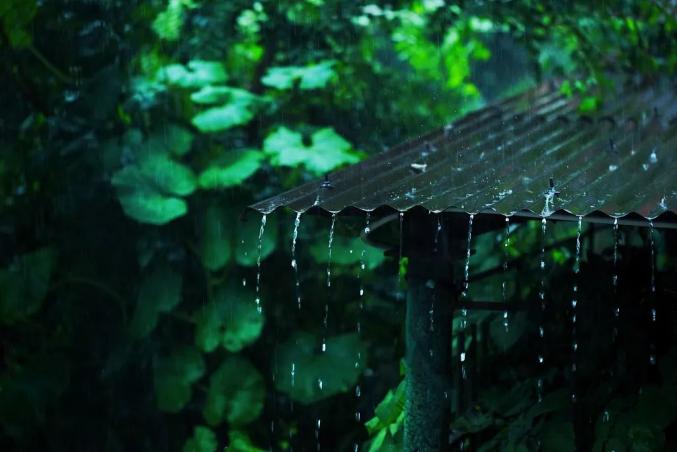 雨落，小轩窗