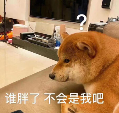 表情包