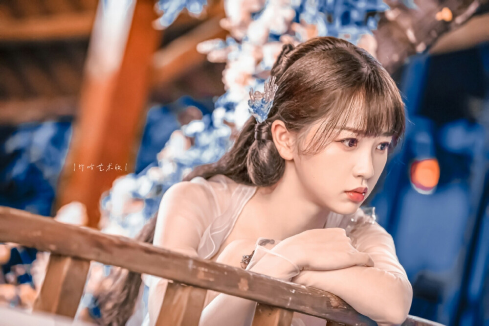 【苍兰诀】 【虞书欣/小兰花】