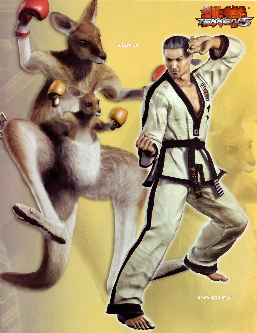 铁拳5游戏人物介绍