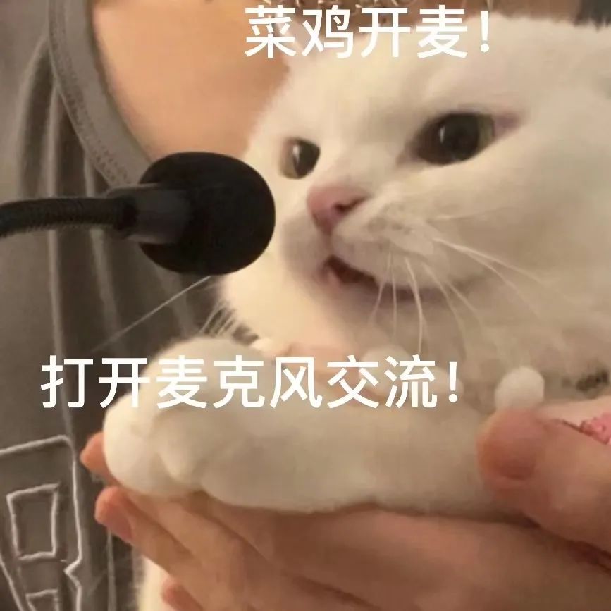 猫猫表情包