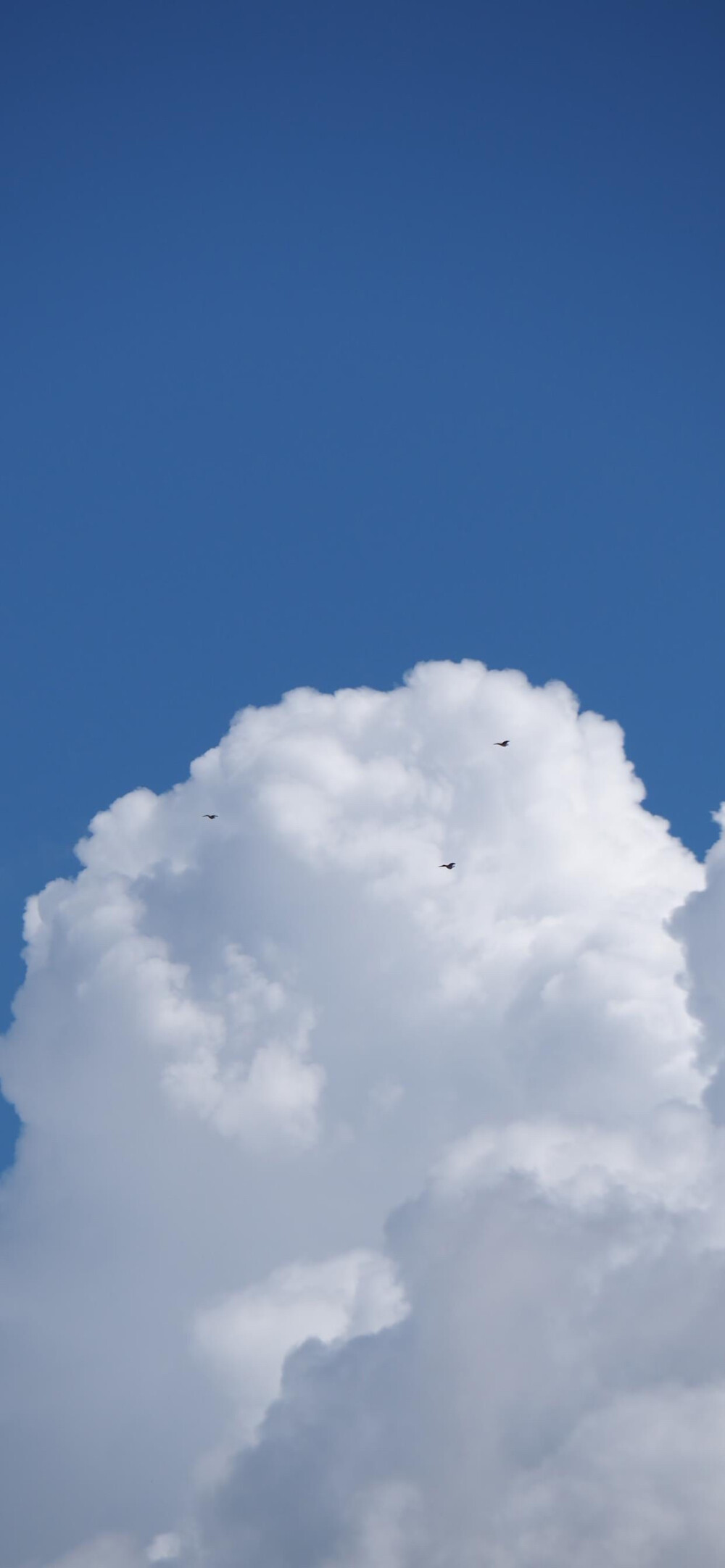 天空壁纸 