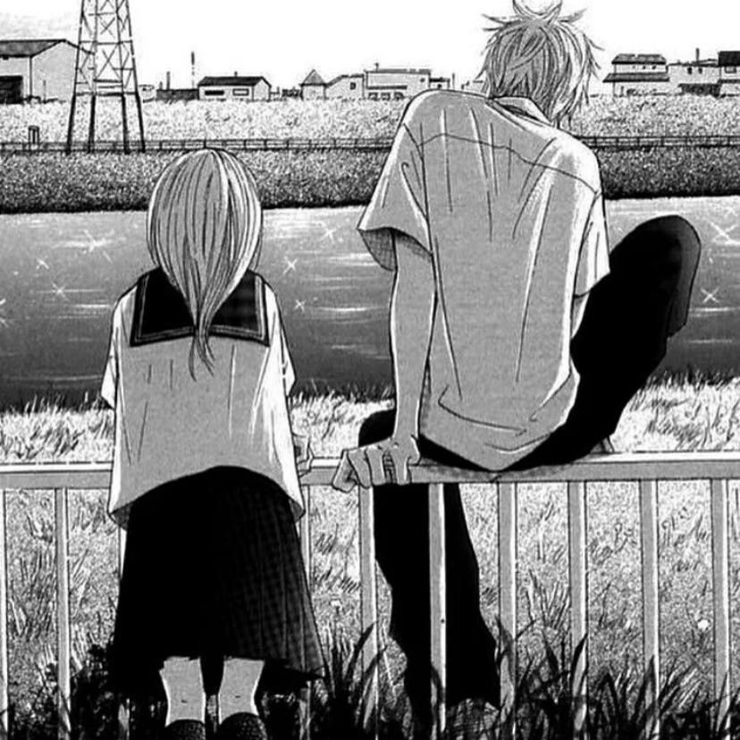 无爱方可破情局