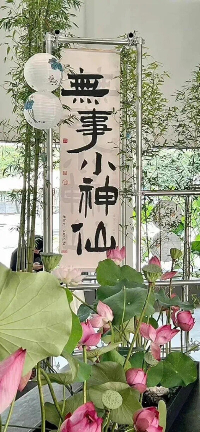 心愿幸运壁纸发发ins苹果