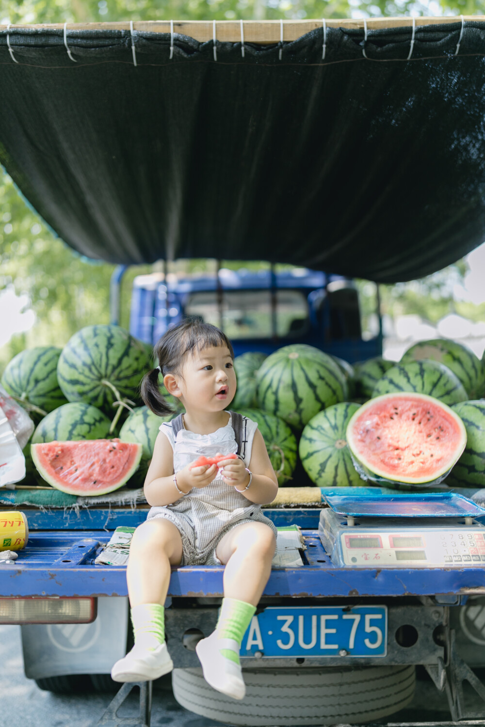 没有西瓜的夏天是不完整的
摄影：洪小漩
出镜：菲比
陪菲比上完课回家，看到楼下有个西瓜摊，婆婆说，带个回家。
西瓜很大，随便一个都有20多斤，和菲比差不多重。
老板说，2块钱一斤，这是来自辽宁的瓜。我先是称了半个，十余斤重，菲比和婆婆削了一小块品尝，说甜。我赶紧一边发信息给阿科叫他来帮忙，一边让老板再帮忙称一个。
我对这种一卡车一卡车来卖的西瓜摊很感兴趣，获得老板同意后，抱着菲比拍了两张。
菲比无所谓在哪里拍，只要手中西瓜能保障供应即可。