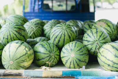 没有西瓜的夏天是不完整的
摄影：洪小漩
出镜：菲比
陪菲比上完课回家，看到楼下有个西瓜摊，婆婆说，带个回家。
西瓜很大，随便一个都有20多斤，和菲比差不多重。
老板说，2块钱一斤，这是来自辽宁的瓜。我先…