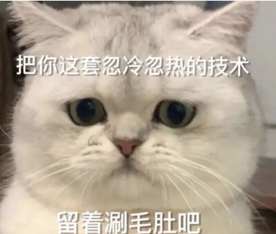 表情