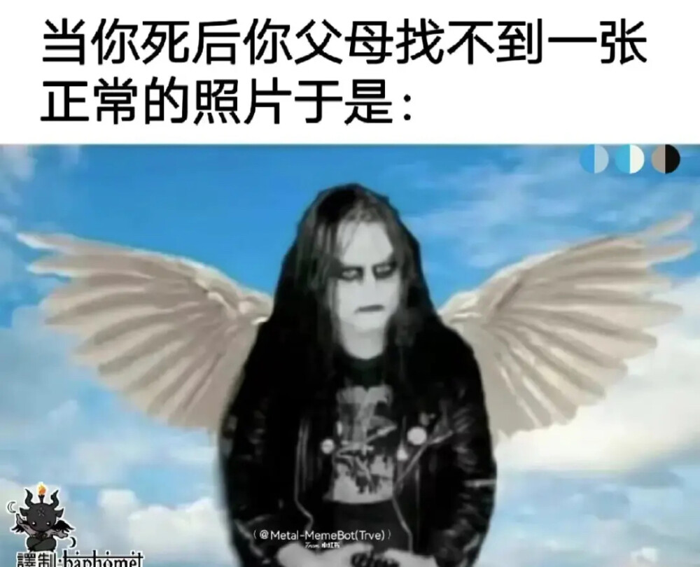 笑死我了哈哈哈哈。