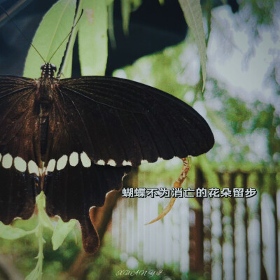 “生活不易，所以请尽量温柔”
❀