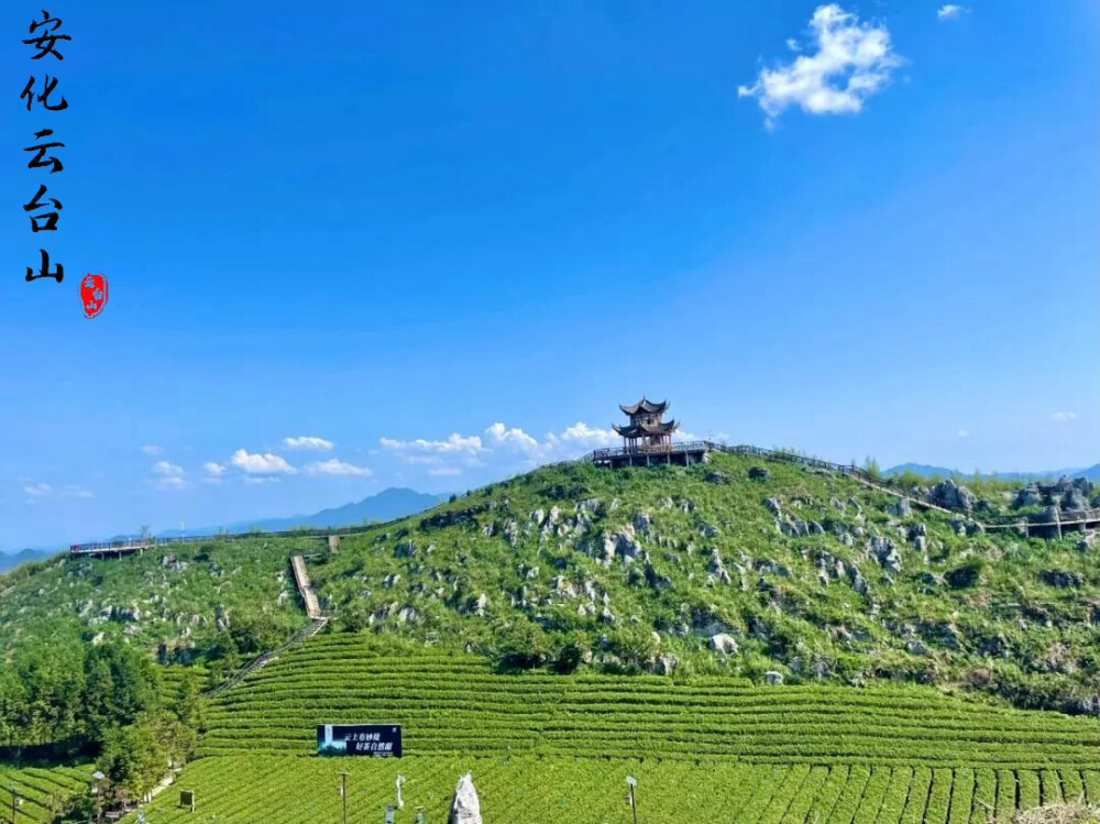 云台山，光凭这个名字，就足以产生美好的遐想
云台山，因为我内心的向往，我再一次踏上了这片令人为之着迷的土地，对于很多人来说，云台山或许陌生，但是对于我来说，云台山仿佛是那么地熟悉。或许是因为我之前就已经去过，所以感觉自己与云台山之间有一种源自内心的共鸣。或许这就是古话里说的“志合者，不以山海为远”。
云台山风景是极具丰富的，近处有路，远处有山，连绵不绝的茶园就像是天地之间最为巨大的画布，在那翠绿的画布之中，云台山的景色令人目不暇接。