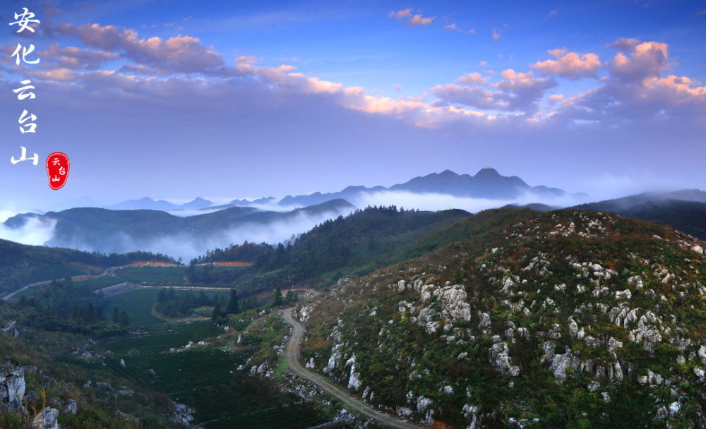 云台山，光凭这个名字，就足以产生美好的遐想
云台山，因为我内心的向往，我再一次踏上了这片令人为之着迷的土地，对于很多人来说，云台山或许陌生，但是对于我来说，云台山仿佛是那么地熟悉。或许是因为我之前就已经去过，所以感觉自己与云台山之间有一种源自内心的共鸣。或许这就是古话里说的“志合者，不以山海为远”。
云台山风景是极具丰富的，近处有路，远处有山，连绵不绝的茶园就像是天地之间最为巨大的画布，在那翠绿的画布之中，云台山的景色令人目不暇接。