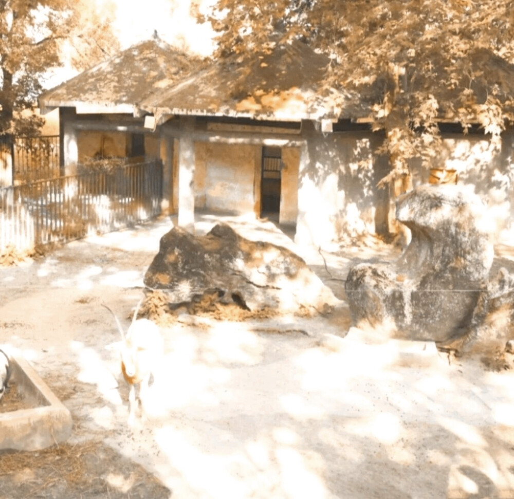 杨超越套图可二改 8张
最后一张是格式排版
收藏点赞（文明爱堆糖）