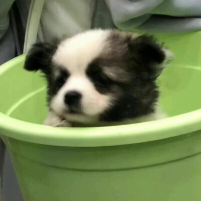 搞怪可爱头像- 金·