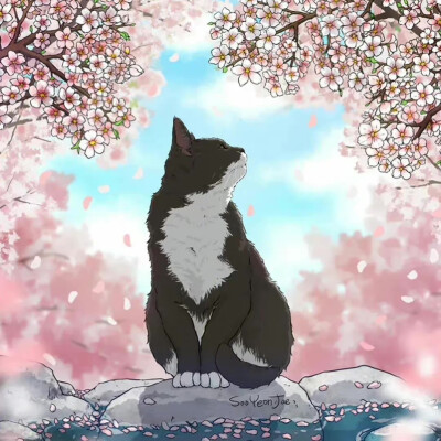 猫