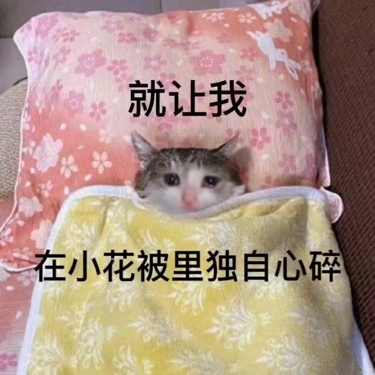 猫猫表情包