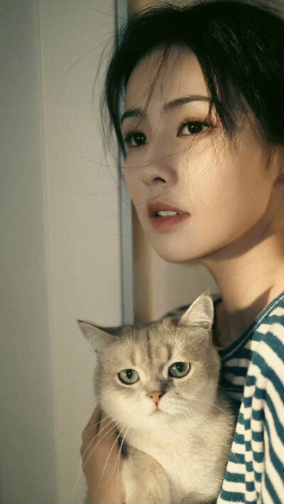 白梦妍家的猫咪