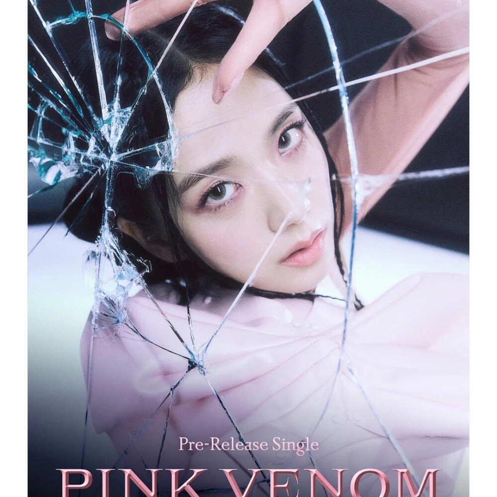 BLACKPINK 新歌Pink Venom