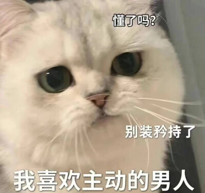 表情包