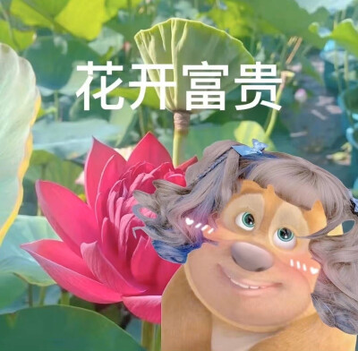 搞怪头像
#可爱荷花头像 熊二头像#