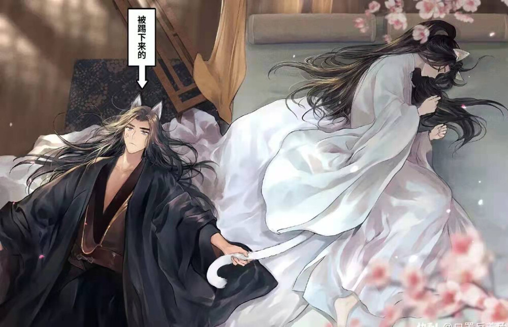 二哈和他的白猫师尊