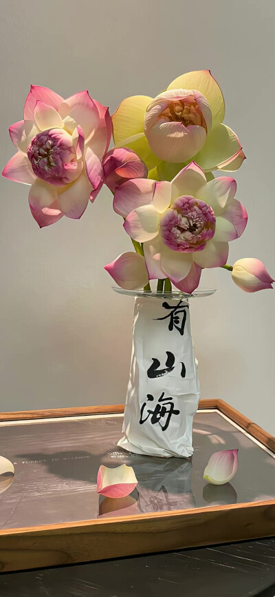 荷花啊，莲花啊毛笔字。