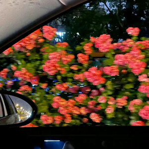 WeChat 微信背景图