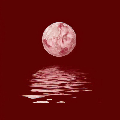 *少女没有乌托邦
-张予曦