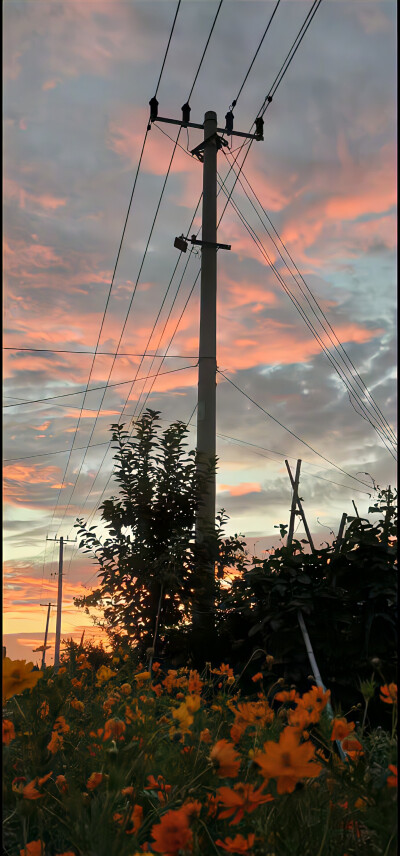 落日 晚霞 风景壁纸 火烧云