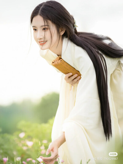 爱是十里扬州，灯火不休