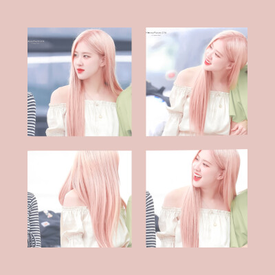 
▷ Rosé & 「玫瑰白茶」