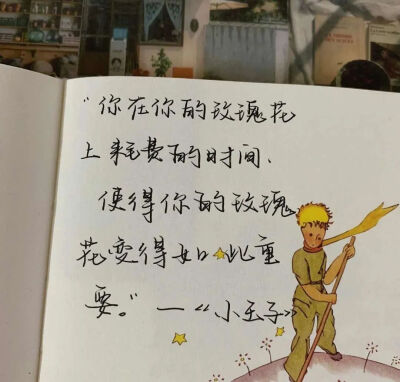 《小王子》语录摘抄