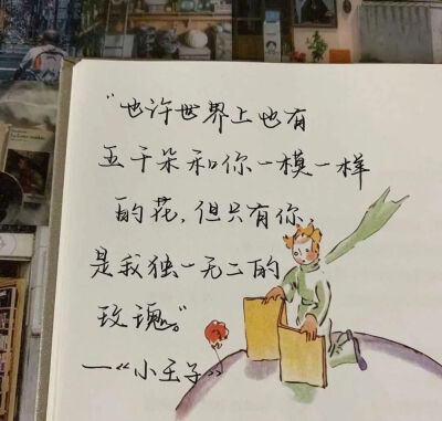 《小王子》语录摘抄