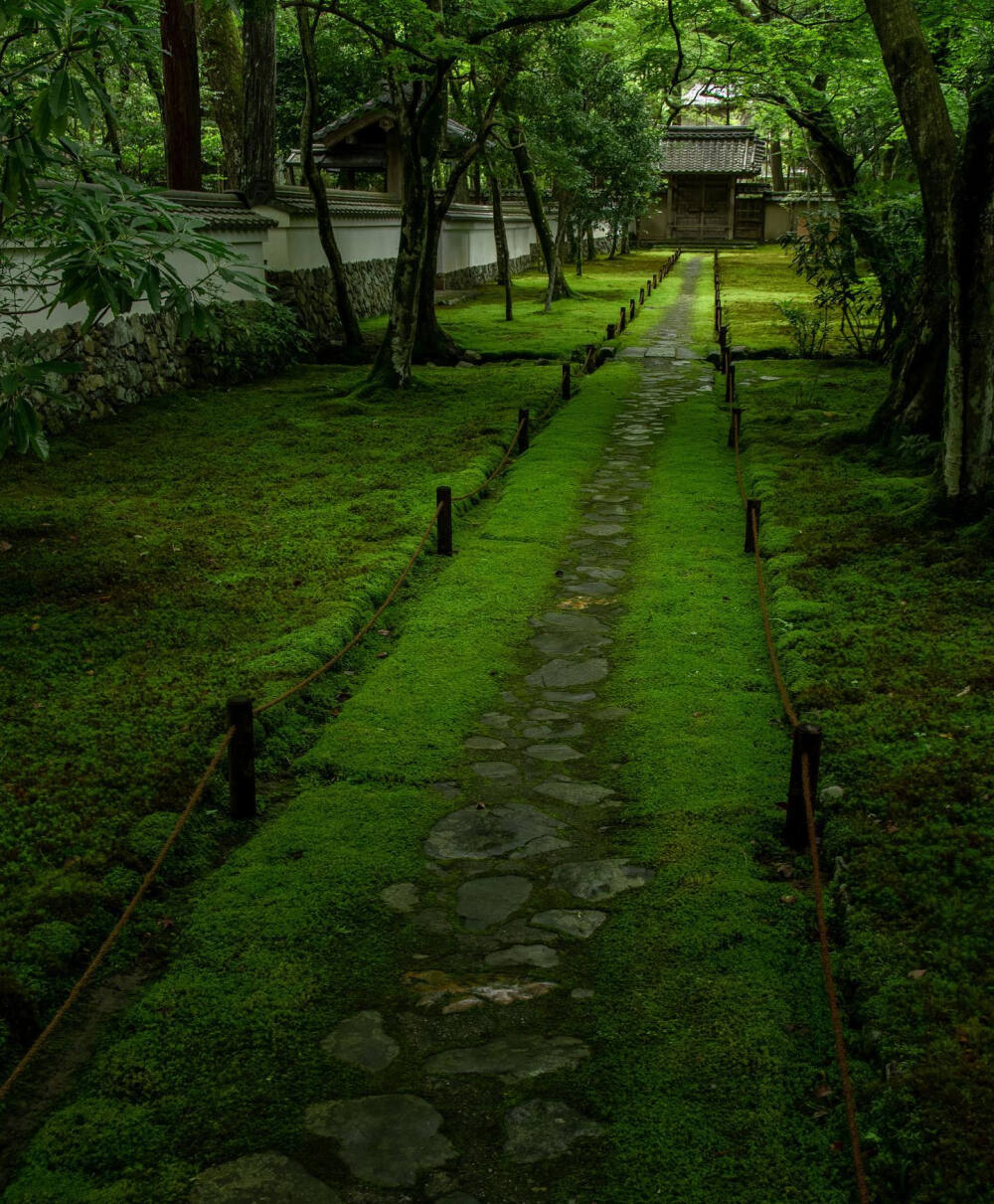 日本 京都 西芳寺（苔寺） 