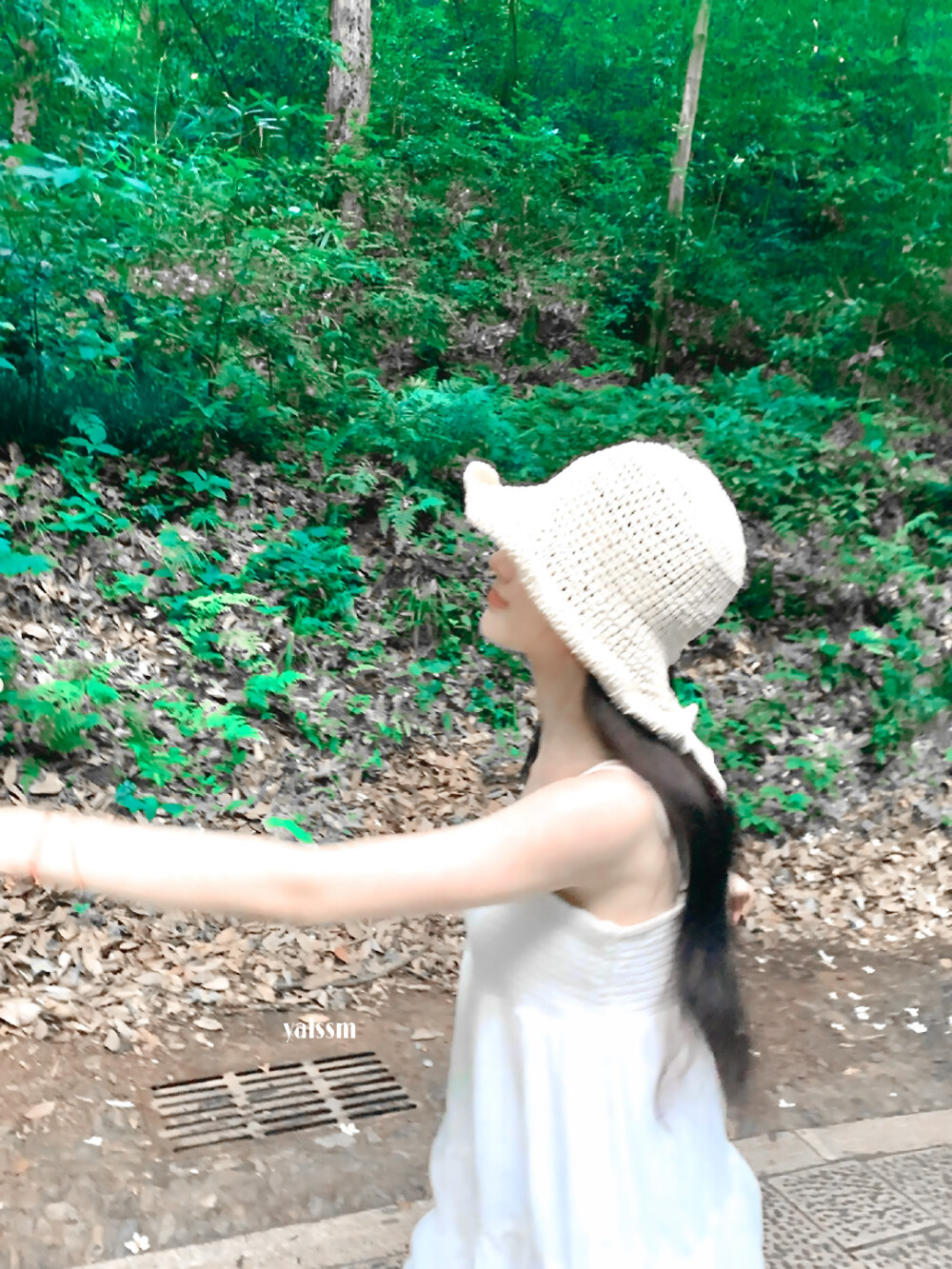 夏日小鞠