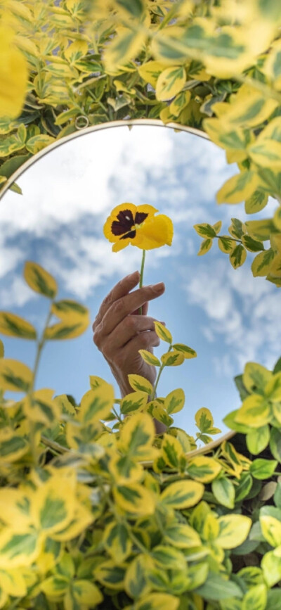 花开了