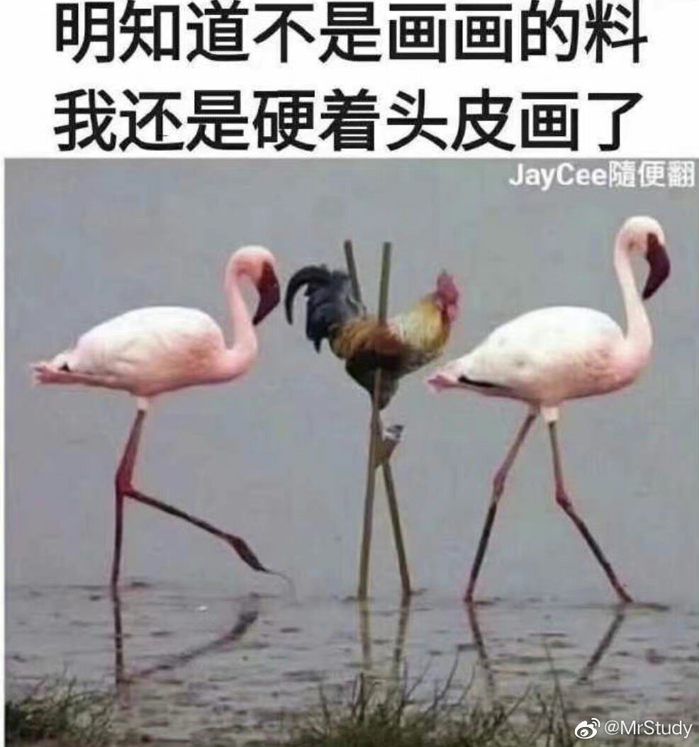 沙雕图