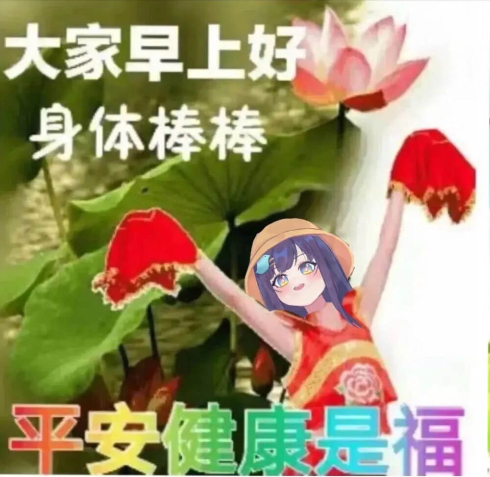 张京华表情包