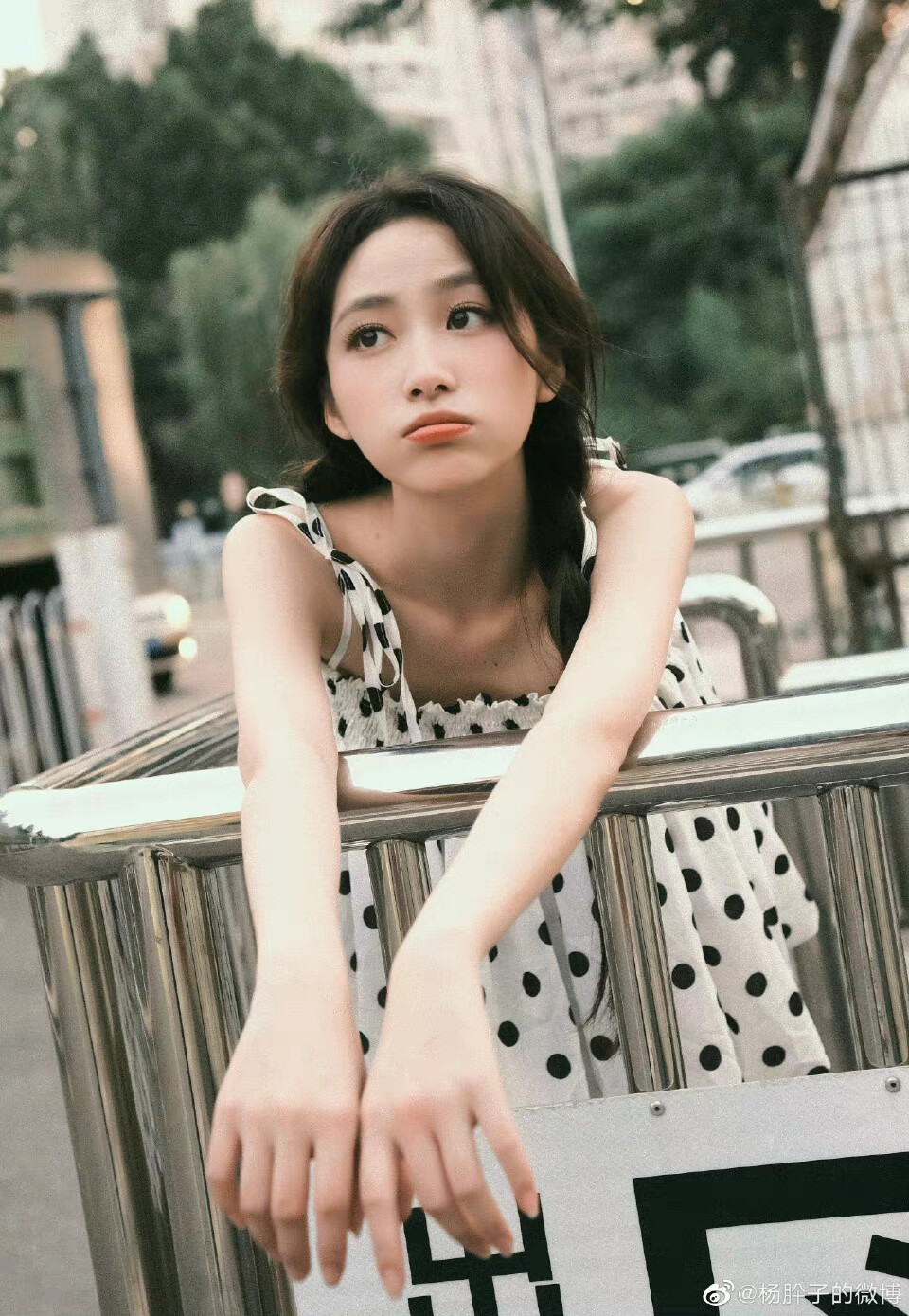 杨肸子