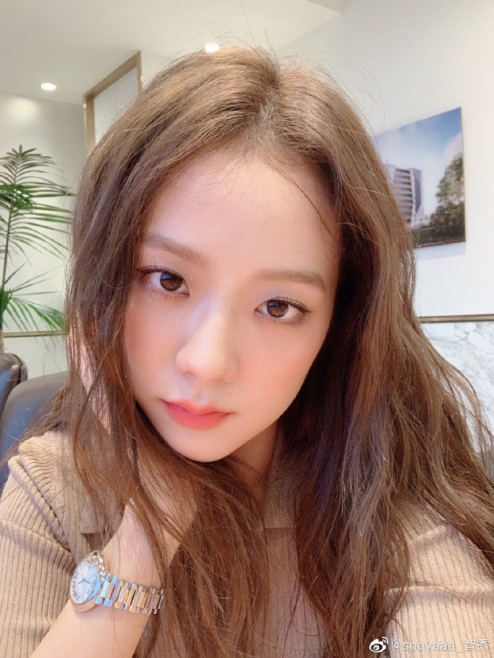 金智秀jisoo