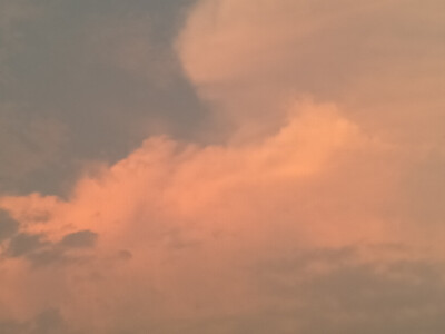 这是作者自己拍的，不喜勿喷！