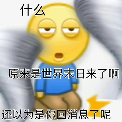 黄豆表情包