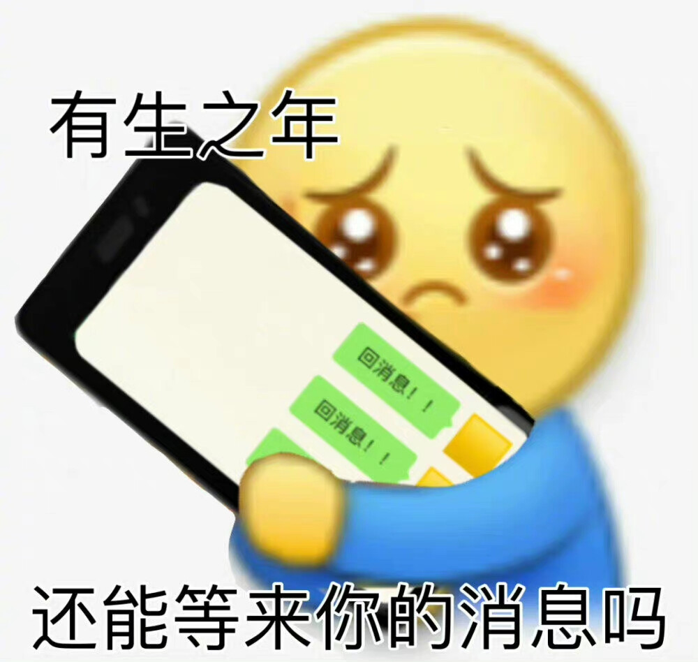 黄豆表情包