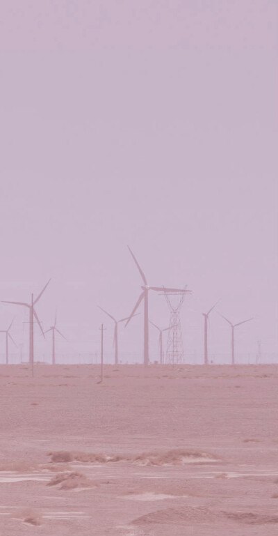 紫色壁纸
cr：沈伶书