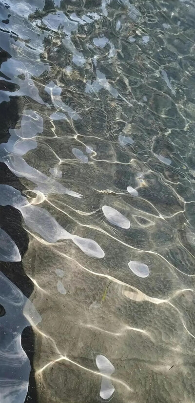 风景壁纸