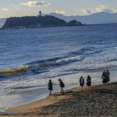  “小狗不能没人陪 我也不能”