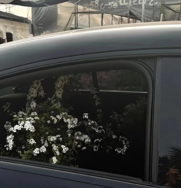  “小狗不能没人陪 我也不能”