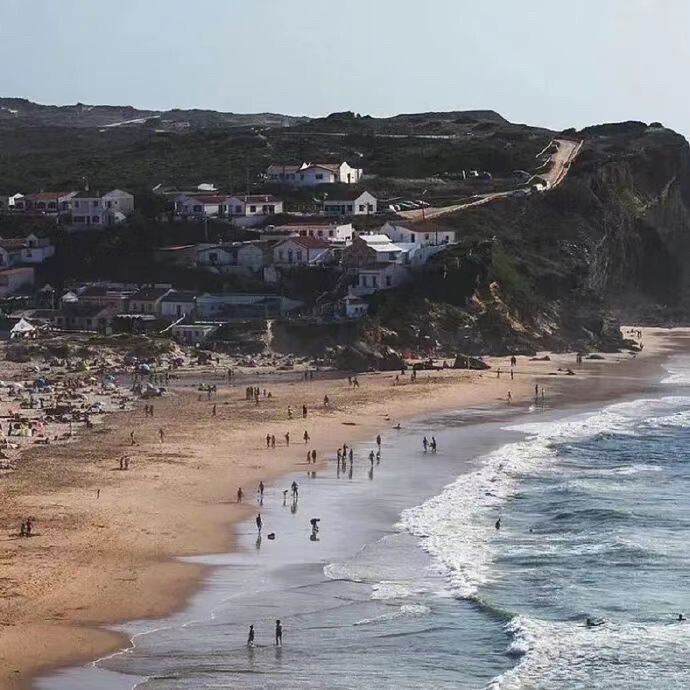  “小狗不能没人陪 我也不能”