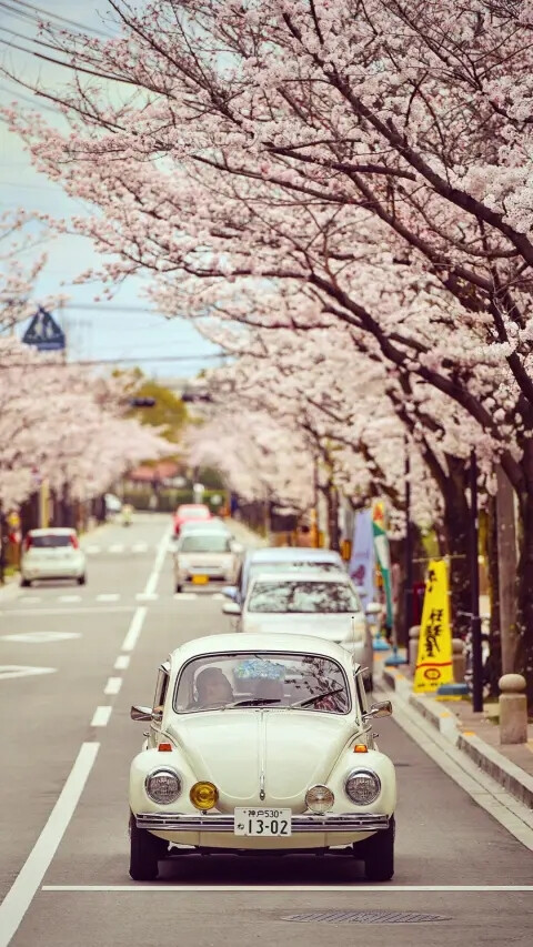 花開滿園