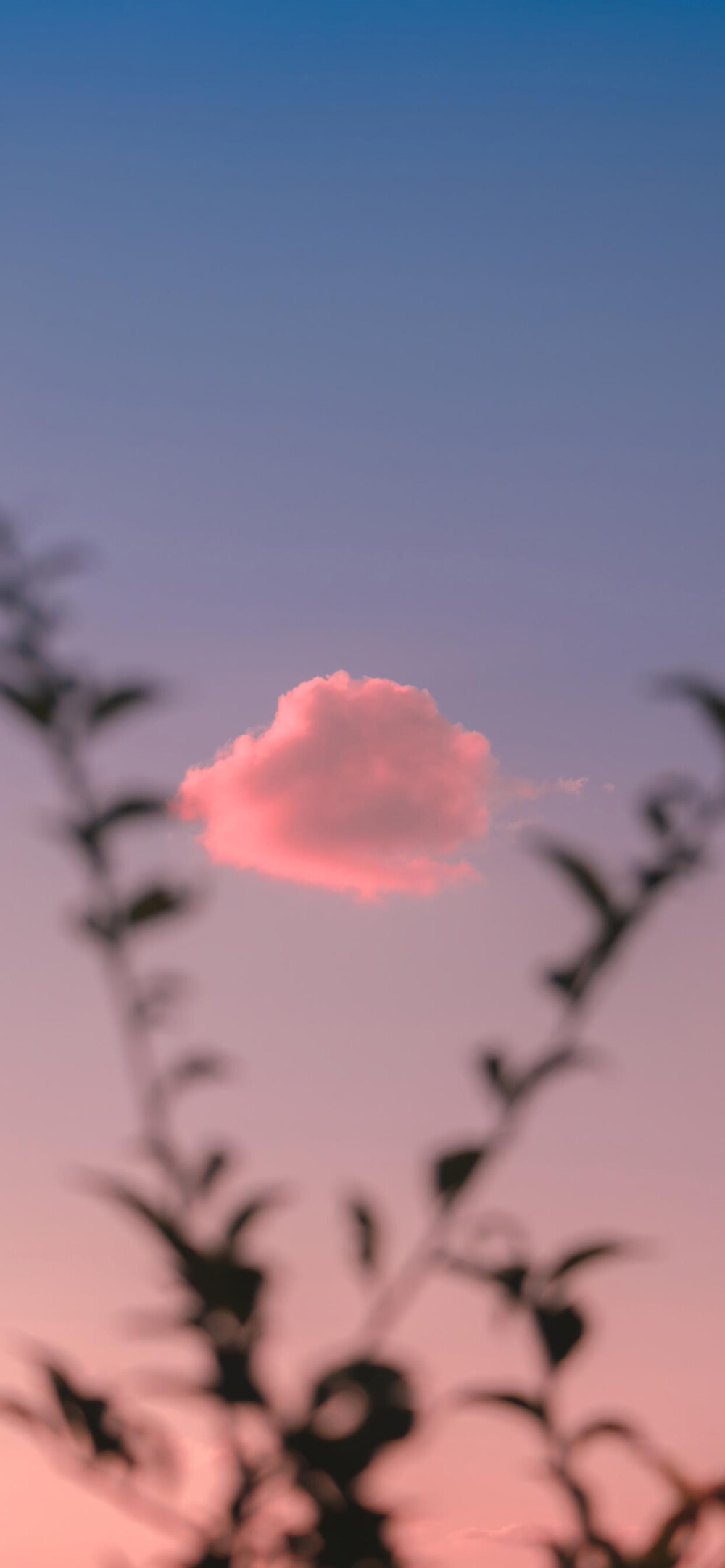 天空风景壁纸